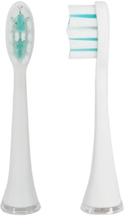 Têtes Pour Brosse à Dents électrique, Blanc