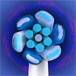 Oral B Têtes De Remplacement Pour Brosse à Dents électrique, Blanches -Produits De Soins ohchchcklicb